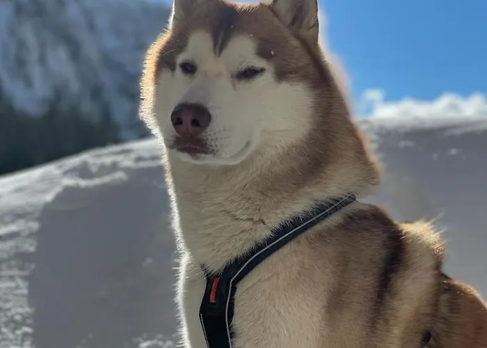 Privat bolig Seeblick *